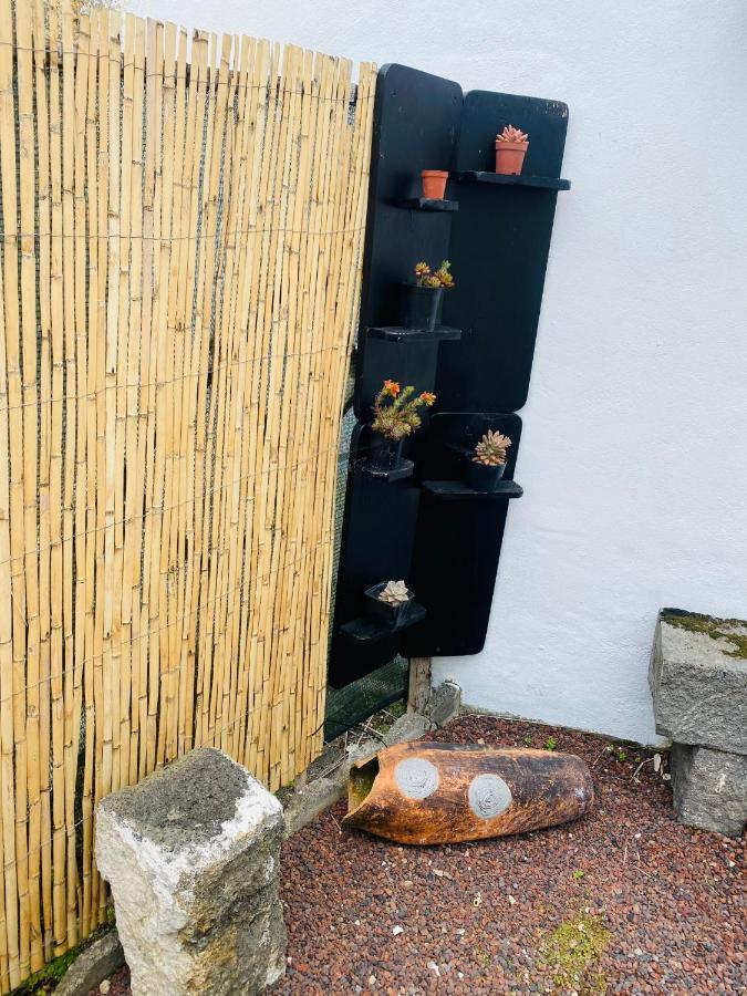 大里贝拉Casas Da Quinta别墅 外观 照片