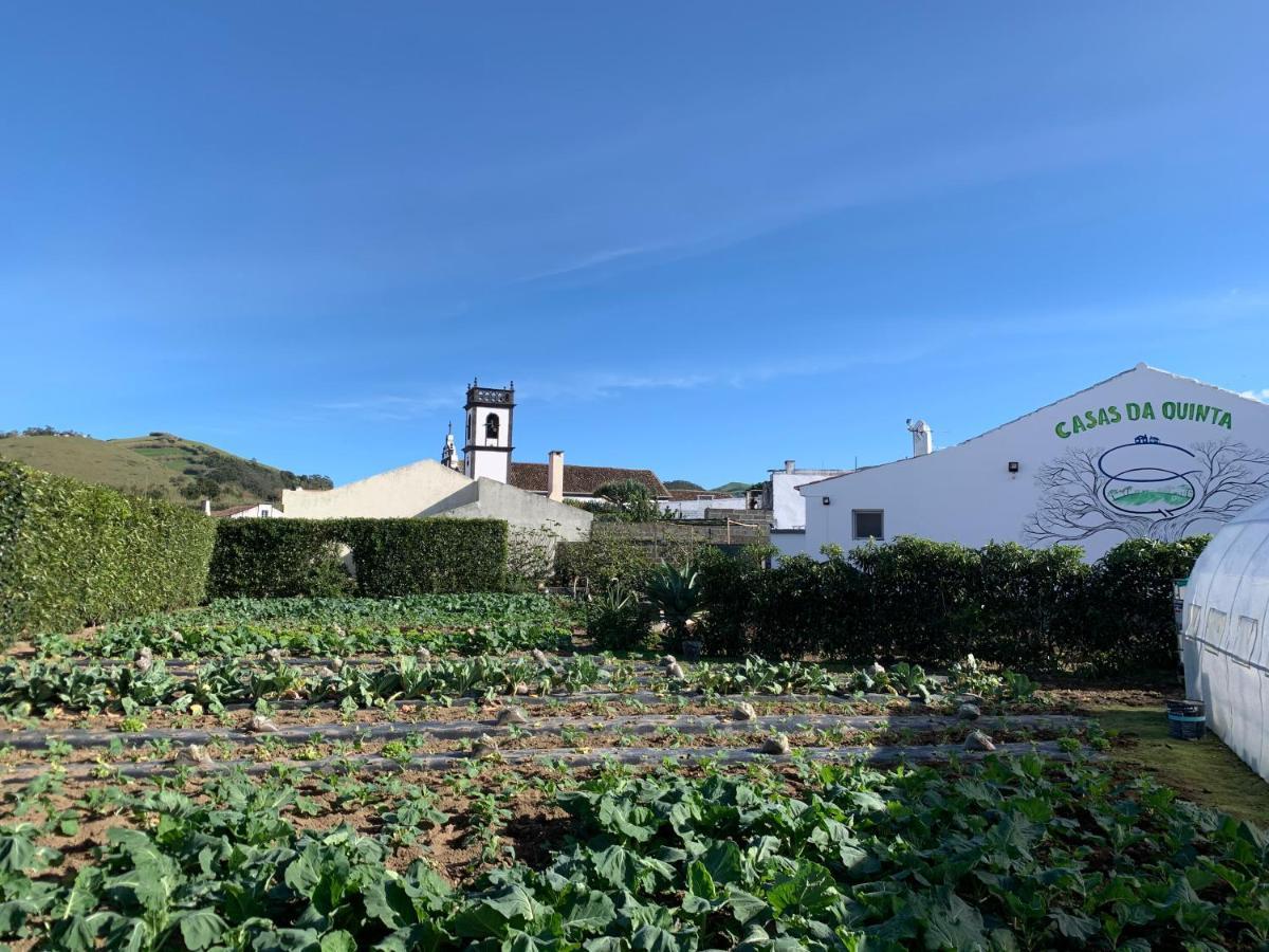 大里贝拉Casas Da Quinta别墅 外观 照片