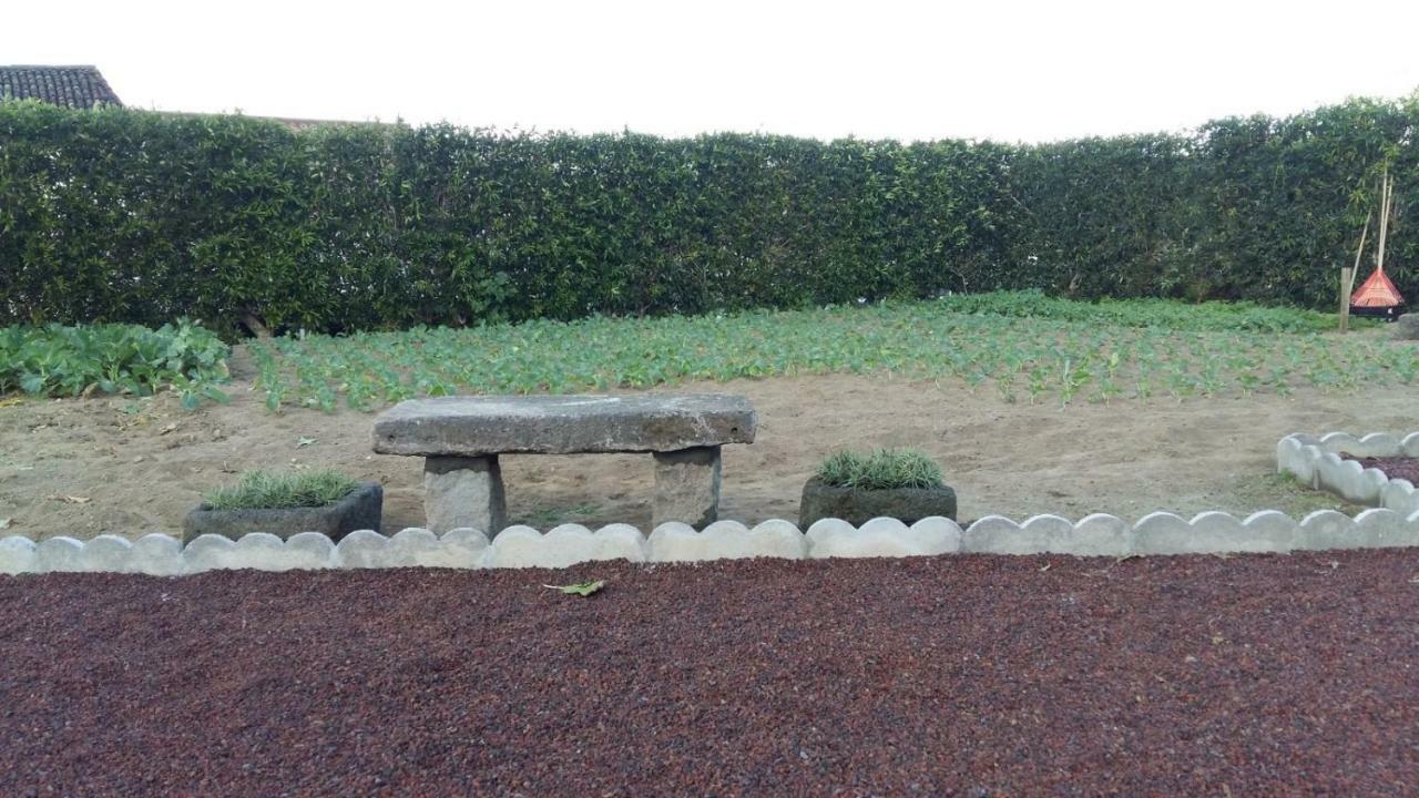 大里贝拉Casas Da Quinta别墅 外观 照片