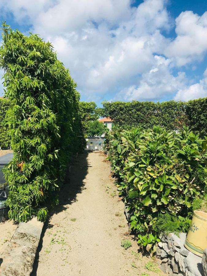大里贝拉Casas Da Quinta别墅 外观 照片